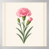 Januar-Geburtsblume, Nelke Botanisch Poster (Vorne)