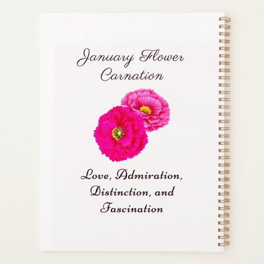 Januar Geburtsmonat Blume Wallfahrtskirche Madonna Planer (Rückseite)