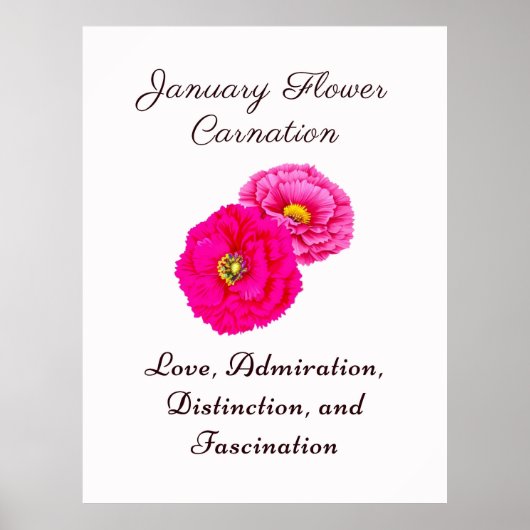 Januar Geburtsmonat Blume Wallfahrtskirche Madonna Poster (Vorne)