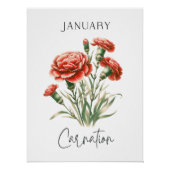 Januar-Geburtsmonats-Nelke Poster (Vorderseite)