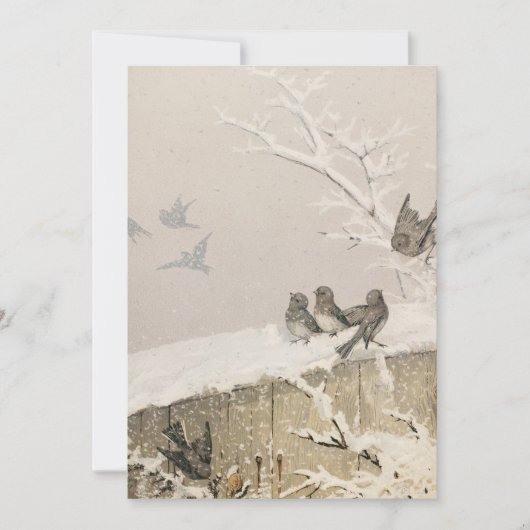 Januar II | Fidelia Bridges (Vorderseite)