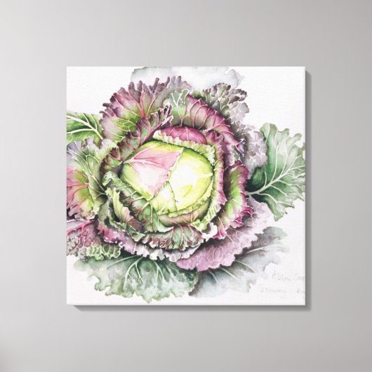 Januar King Cabbage Leinwanddruck (Vorderseite)