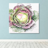 Januar King Cabbage Leinwanddruck (Insitu (Holzboden))