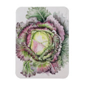Januar King Cabbage Magnet (Vertikal)
