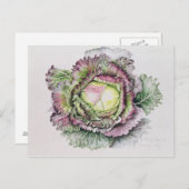 Januar King Cabbage Postkarte (Vorne/Hinten)