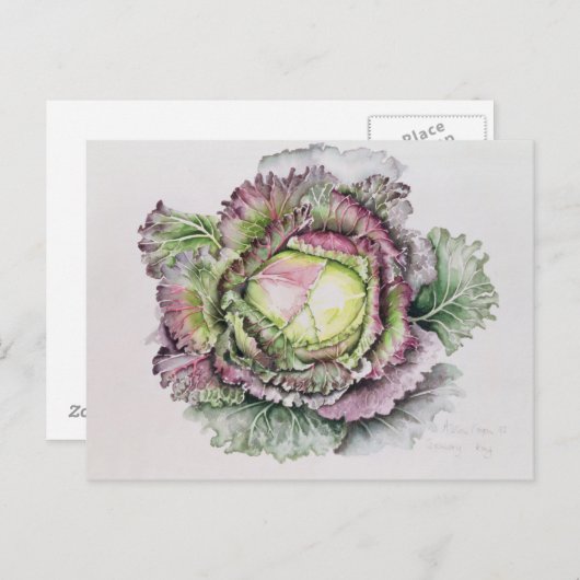 Januar King Cabbage Postkarte (Vorne/Hinten)