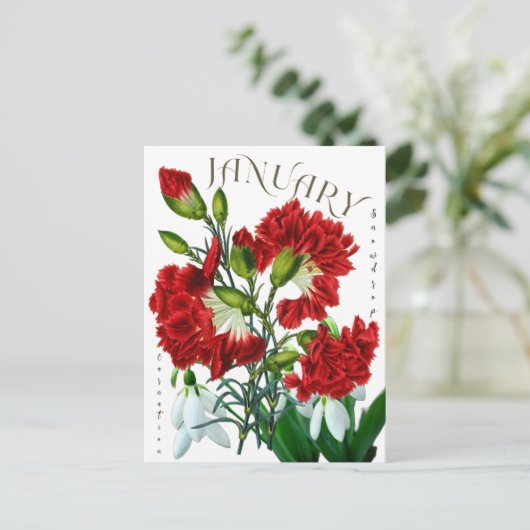 Januar Monat Snowdrop Carnation Extravagant Postkarte (Stehend Vorderseite)