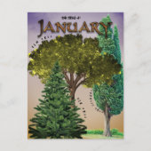 Januar Month Trees Elm Fir Cypress Postkarte (Vorderseite)