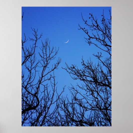 Januar Moon Poster (Vorne)