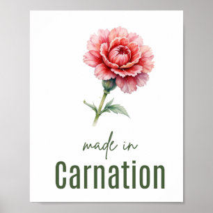 Januar-Nelken-Geburtsblumen-Wandkunst Wasserfarbe Poster