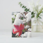 Januar Rose 2012 Postkarte (Stehend Vorderseite)