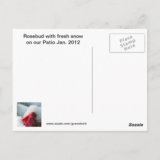 Januar Rose 2012 Postkarte (Rückseite)