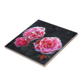 Januar Rosen Fliese (Seite)