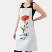 Januar Schürze (InSitu)