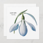 Januar Snowdrop Bloom - Personalisiertes Geschenk Ankündigung (Vorne/Hinten)