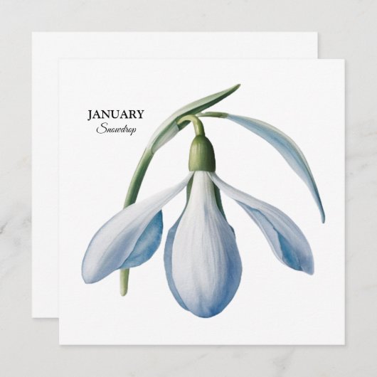 Januar Snowdrop Bloom - Personalisiertes Geschenk Ankündigung (Vorne/Hinten)