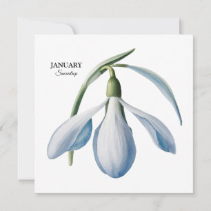 Januar Snowdrop Bloom - Personalisiertes Geschenk Ankündigung