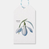 Januar Snowdrop Bloom - Personalisiertes Geschenk Geschenkanhänger (Vorderseite)