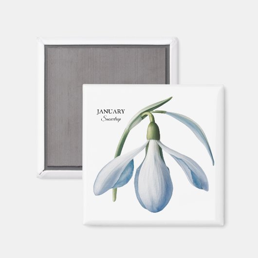 Januar Snowdrop Bloom - Personalisiertes Geschenk Magnet (Vorderseite/Rückseite)