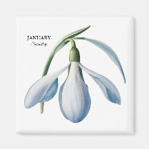 Januar Snowdrop Bloom - Personalisiertes Geschenk
