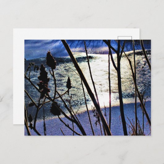 Januar Sonnenschein auf Eisschnee Sumac Naturschön Postkarte (Vorne/Hinten)