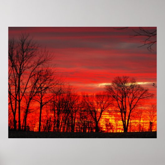 Januar Sunset Poster (Vorne)