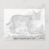 Januar Susitna Postkarte (Rückseite)