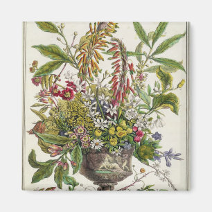 Januar, vom ` zwölf Monate Blumen Magnet