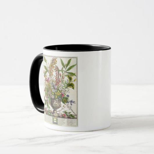 Januar, vom ` zwölf Monate Blumen Tasse (Vorderseite Links)