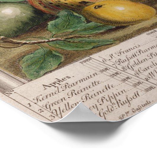 Januar, "Zwölf Monate Obst" Poster (Ecke)