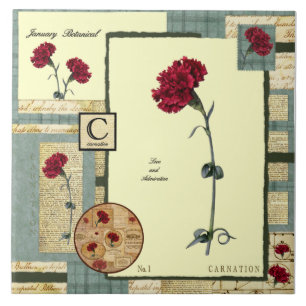 Januars Blume Fliese