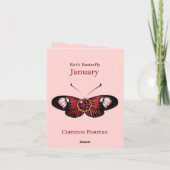 January Red Common Postman Butterfly Illustration Karte (Rückseite)