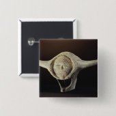 Janus-Kopf, vom Kap Dorset Button (Vorne & Hinten)