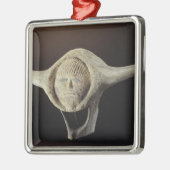 Janus-Kopf, vom Kap Dorset Ornament Aus Metall (Links)