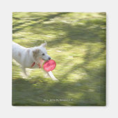 Japan 2 magnet (Vorne)