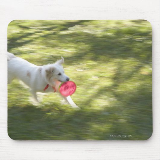 Japan 2 mousepad (Vorne)