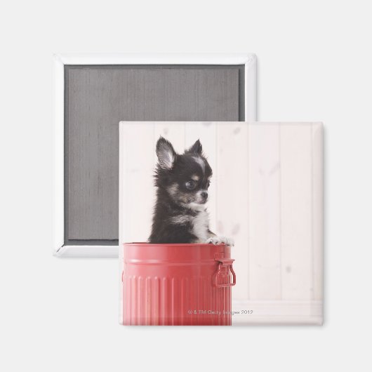 Japan 4 magnet (Vorderseite/Rückseite)