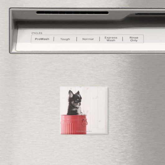 Japan 4 magnet (In Situ (Geschirrspüler))