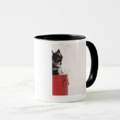 Japan 4 tasse (VorderseiteRechts)