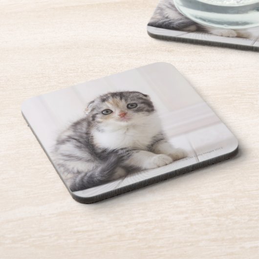 Japan 5 untersetzer (Linke Seite)