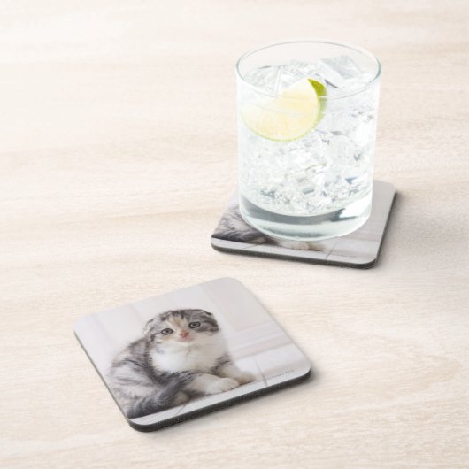 Japan 5 untersetzer (Rechte Seite)