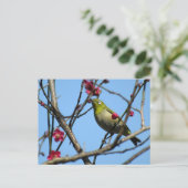 Japan-Brillenvogel: Japan Postkarte (Stehend Vorderseite)