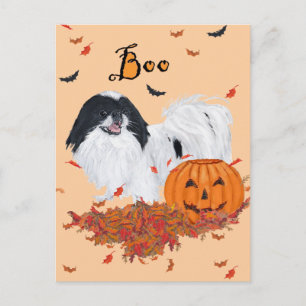 Japan-Chin Halloween Postkarte