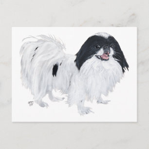 Japan-Chin-Hund Postkarte