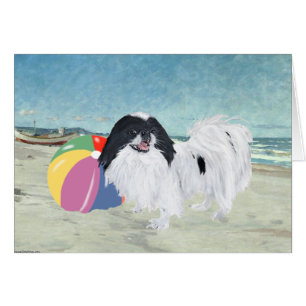 Japan-Chin-Strandball