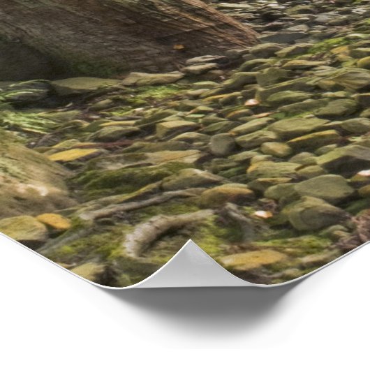 Japan, Fukui, Eiheiji Temple Poster (Ecke)