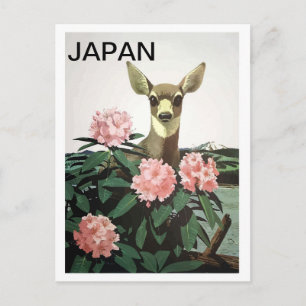 Japan, Hirsche in einem Blumenbusch, Vintage-Reise Postkarte