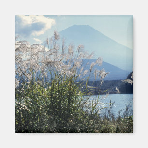 Japan, Honshu, Präfektur Yamanashi, Fuji-Hakone-Iz Magnet