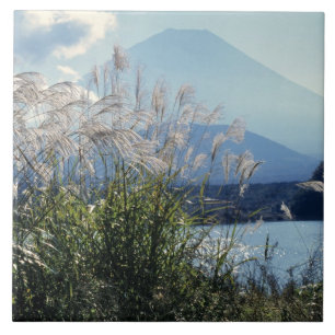 Japan, Honshu, Yamanashi Pref, Fuji-Hakone-Izu Fliese