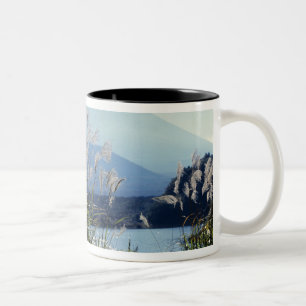 Japan, Honshu, Yamanashi Pref, Fuji-Hakone-Izu Zweifarbige Tasse